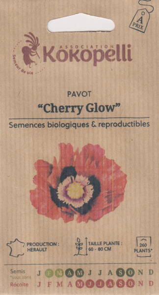 Opium poppy "Cherry Glow"